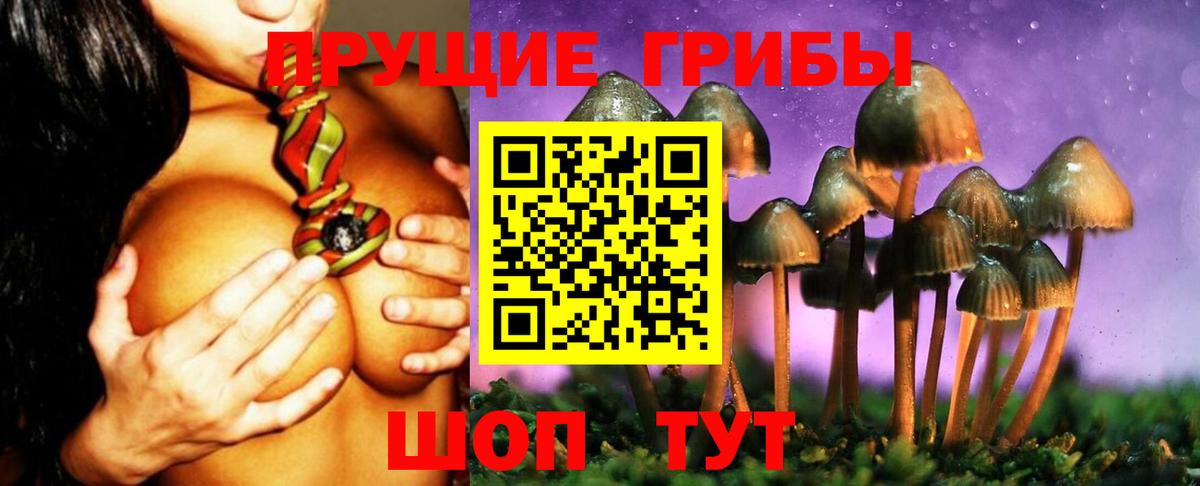 Галлюциногенные грибы Psilocybine cubensis  Вход с VPN  Усть-Джегута 